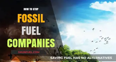 Ending Fossil Fuel Dominance: Strategies to Halt Corporate Power and Pollution