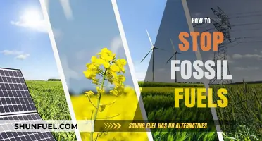 Ending Fossil Fuels: A Green Revolution
