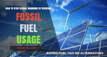Cutting Fossil Fuels: Practical Steps to Combat Global Warming