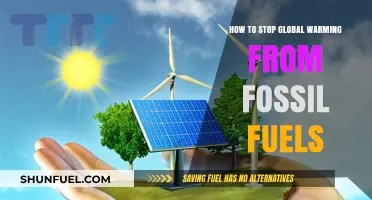 Ending Fossil Fuel Use: Stopping Global Warming