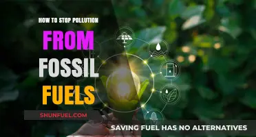 Ending Fossil Fuel Pollution: Strategies for a Greener Future