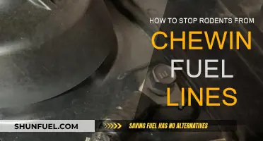 Rodent-Proof Your Garage: Stop Chewing on Fuel Lines