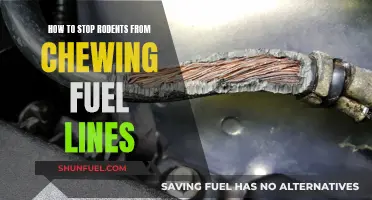 Prevent Rodent Fuel Line Damage: Tips for Your Car