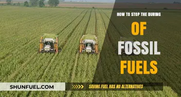 Ending Fossil Fuel Burning: A Green Revolution