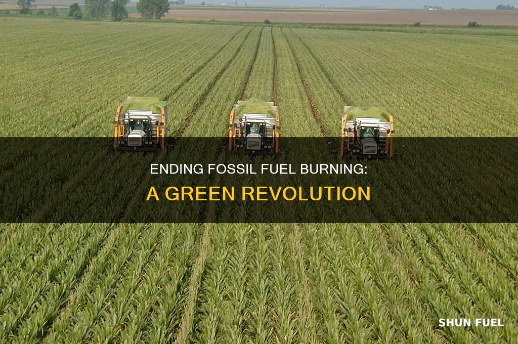how to stop the buring of fossil fuels