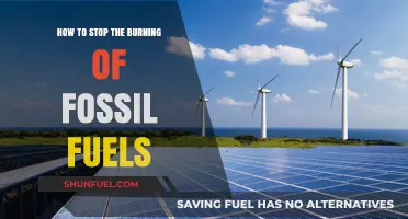 Ending Fossil Fuel Burning: Strategies for a Greener Future