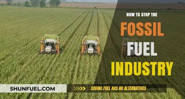 Ending Fossil Fuels: Strategies for a Green Revolution