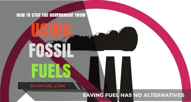 Ban Fossil Fuels: Strategies to Stop Government Reliance