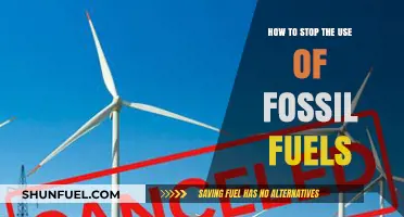 Transitioning to Clean Energy: Strategies to End Fossil Fuel Dependence