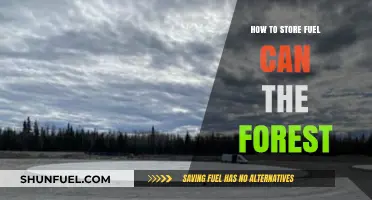 Safe Fuel Storage Tips for Forest Adventures and Survival