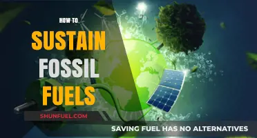 Sustaining Fossil Fuels: Strategies for a Balanced Energy Future