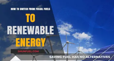 Renewable Energy: Transitioning from Fossil Fuels