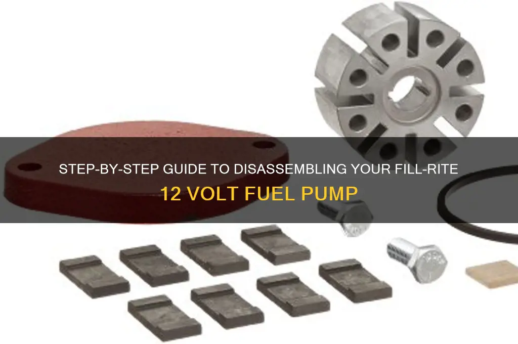 how to take a fill-rite 12 volt fuel pump apart