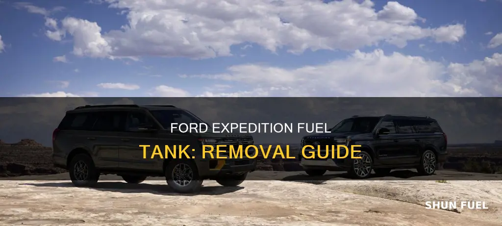 how to take fuel tank off 2003 ford expedition