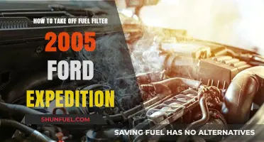 Ford Expedition Fuel Filter: Removal Guide