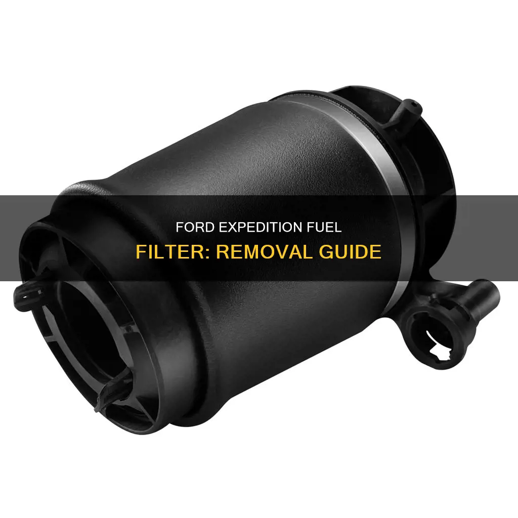 how to take off fuel filter 2005 ford expedition