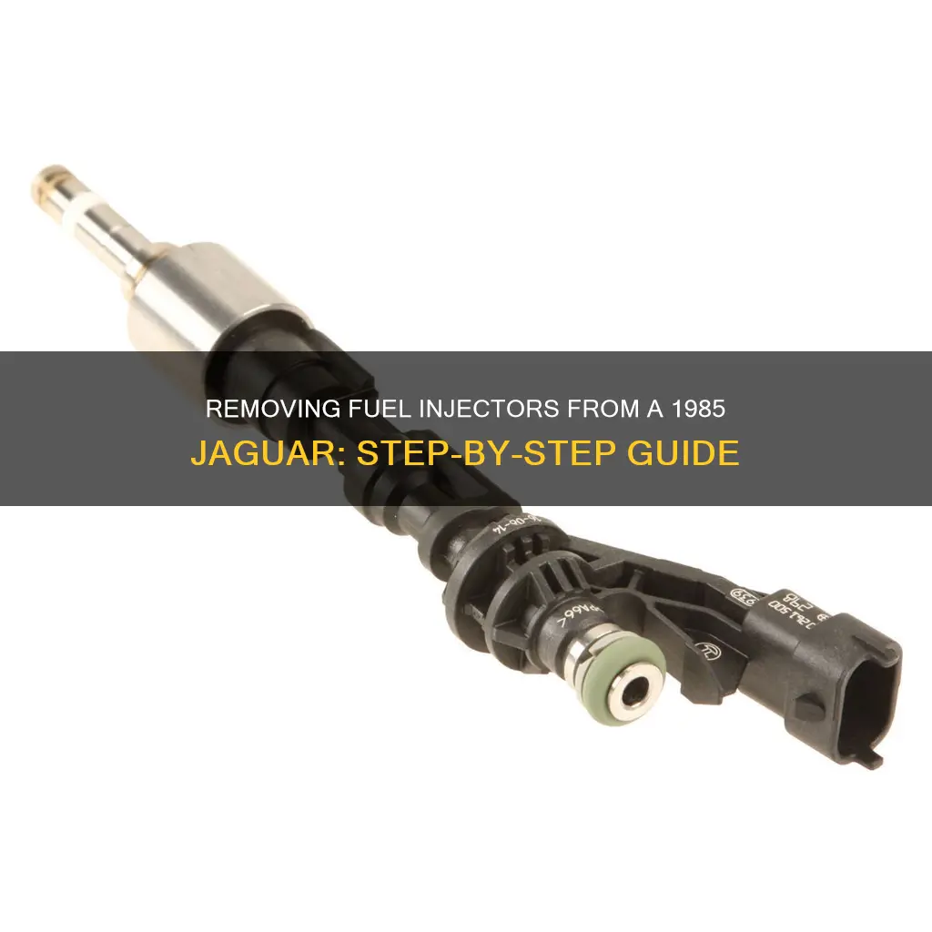how to take off fuel injectors 1985 jaguar