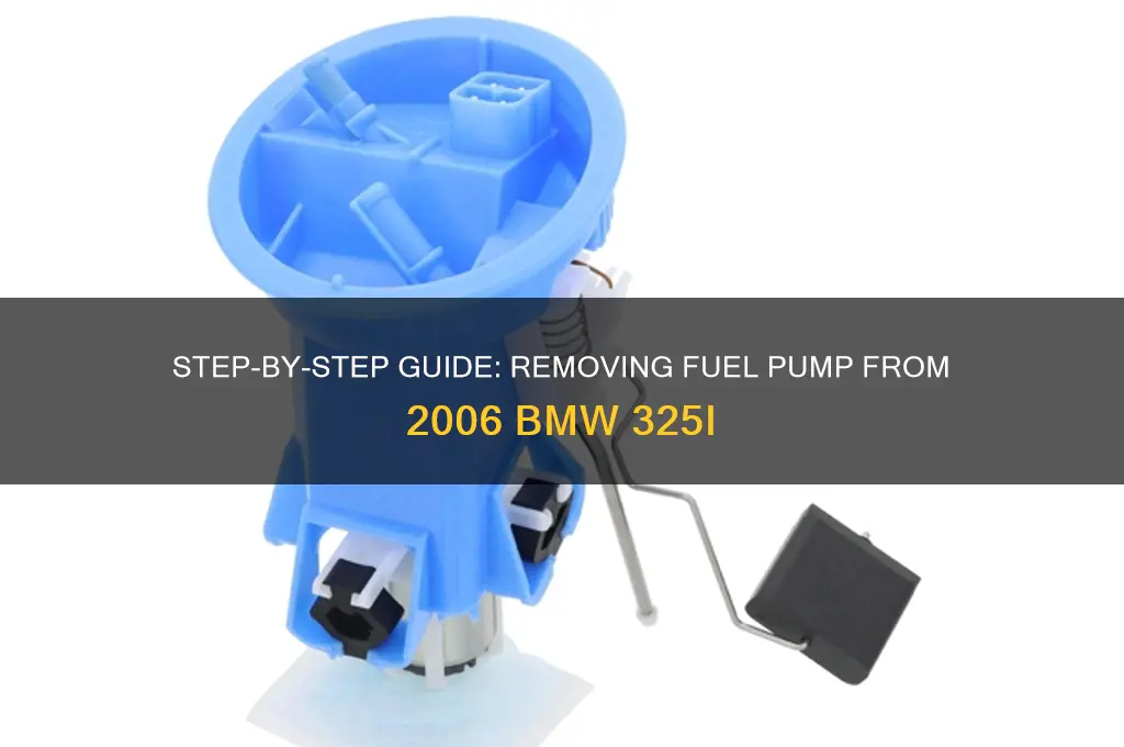 how to take off fuel pump from bmw 325i 2006