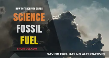 Fossil Fuels: Teaching 5th Graders the Basics