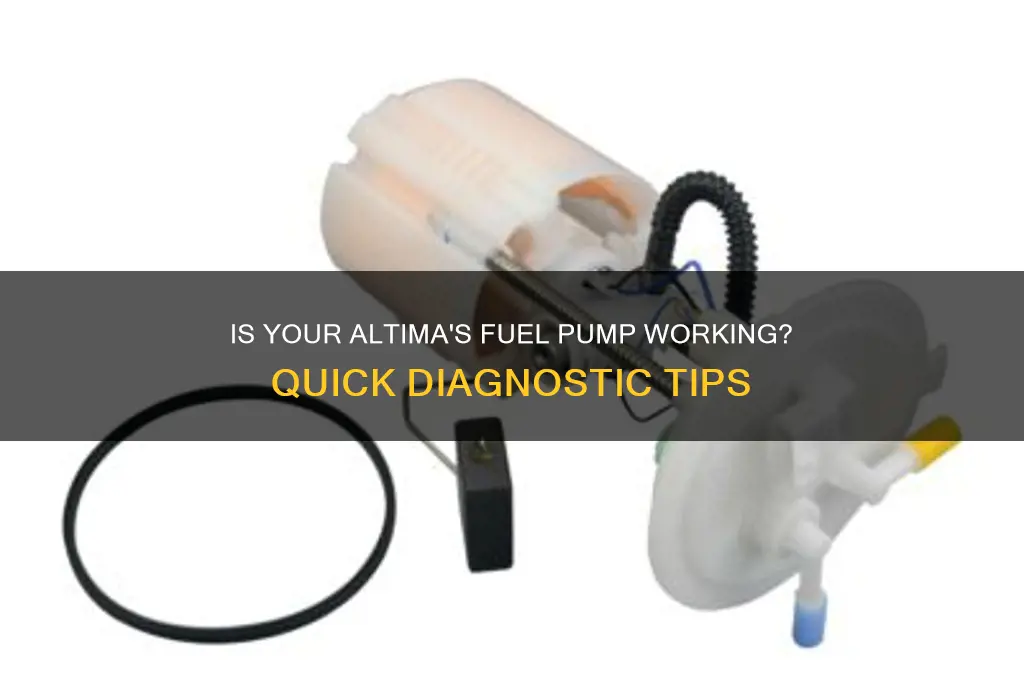 how to tell an altima fuel pump is working