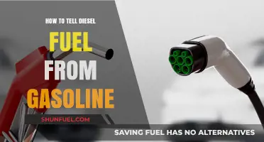Differentiating Gasoline and Diesel: A Quick Guide