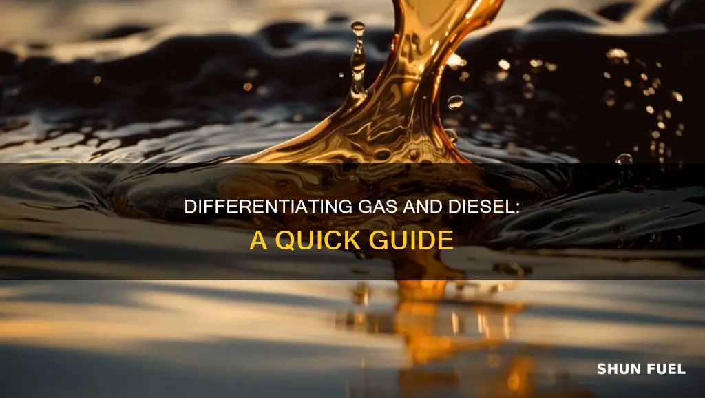 how to tell difference between gas and diesel fuel