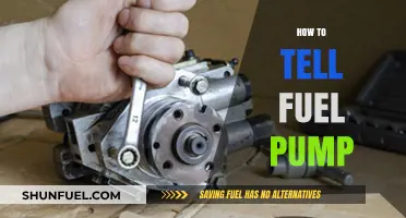 Identifying Fuel Pump Issues: Signs, Symptoms, and Troubleshooting Tips