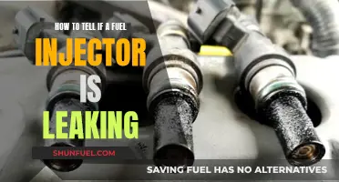 Fuel Injector Leaks: Spotting the Signs