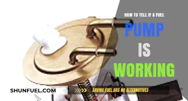 Is Your Fuel Pump Functioning? Quick Diagnostic Tips to Check