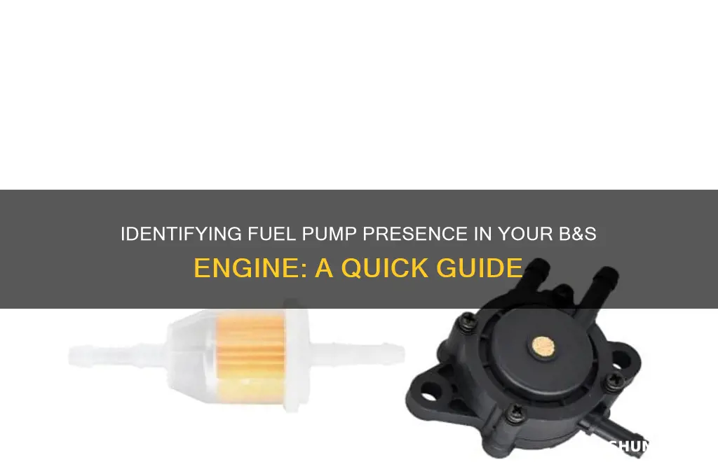 how to tell if b&s engine has a fuel pump