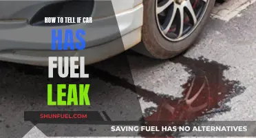 Spotting Fuel Leaks: What Car Owners Should Know