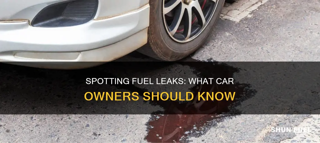 how to tell if car has fuel leak