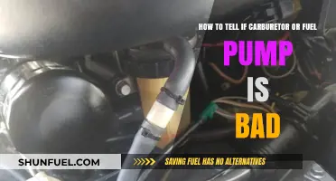 Diagnosing Engine Issues: Carburetor vs. Fuel Pump Problems Explained