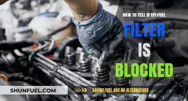 EFI Fuel Filter: Signs of Blockage