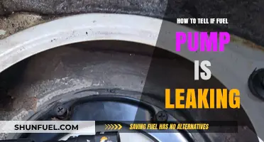 Identifying Fuel Pump Leaks: Signs, Symptoms, and Quick Diagnosis Tips