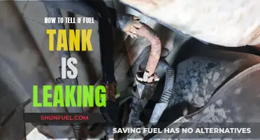 Signs of a Leaking Fuel Tank: What to Look For
