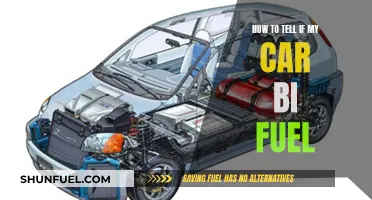 Recognizing a Bi-Fuel Car: What to Look For