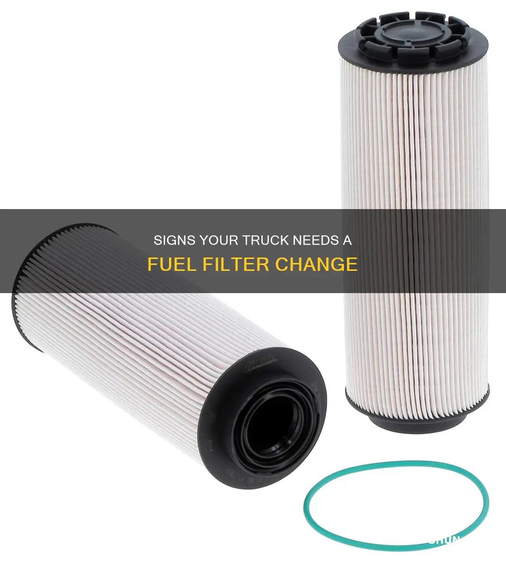 how to tell if my truck need a fuel filter