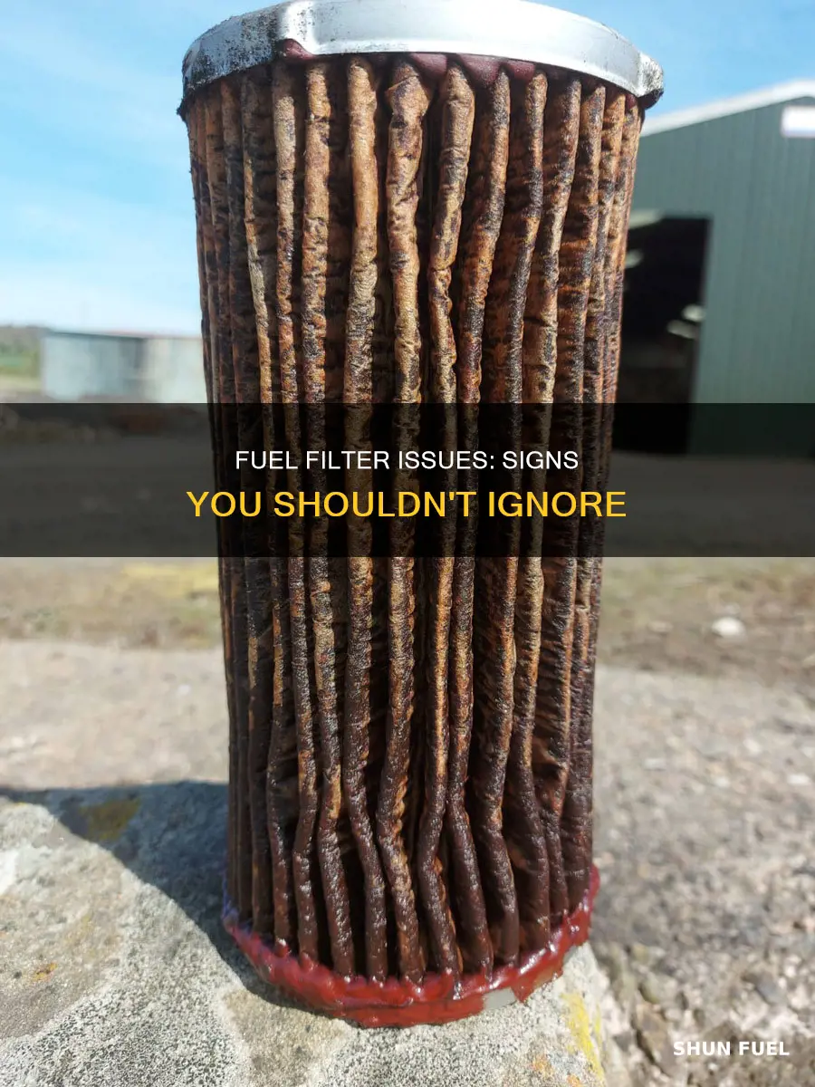 how to tell if you have a fuel filter issue
