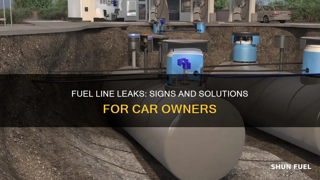 how to tell if you have a fuel line leak