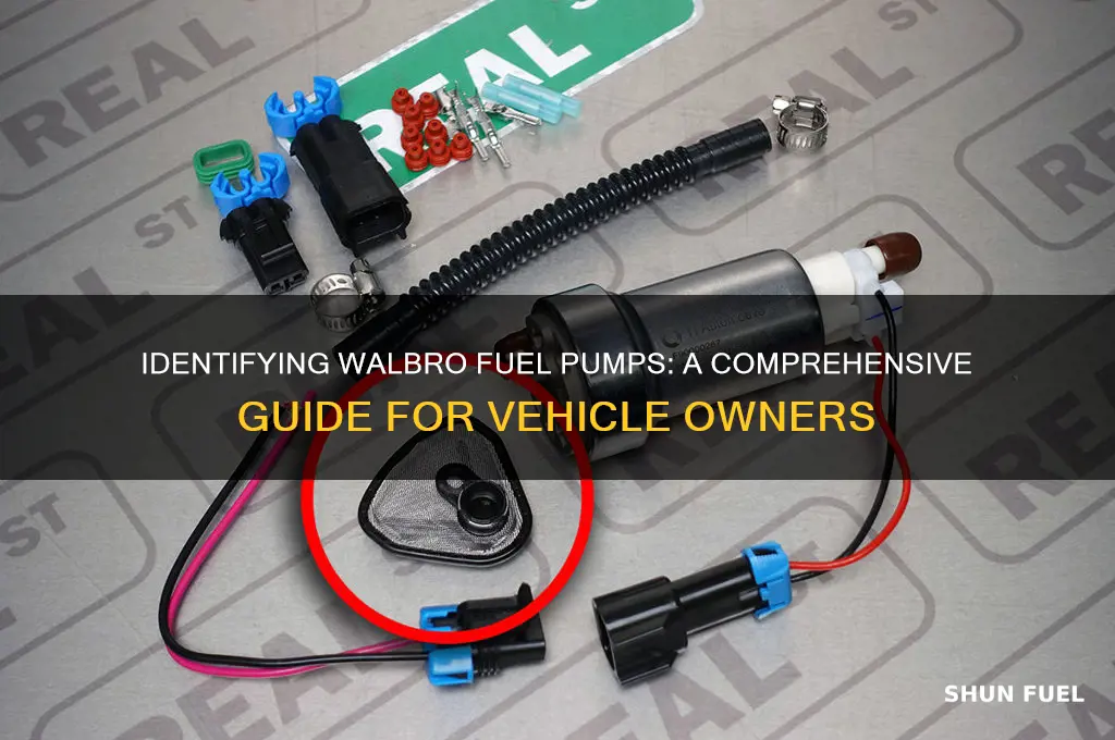 how to tell if you have a walbro fuel pump
