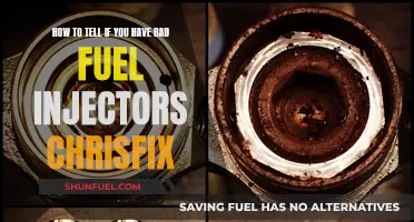 Fuel Injector Warning Signs: ChrisFix's Guide