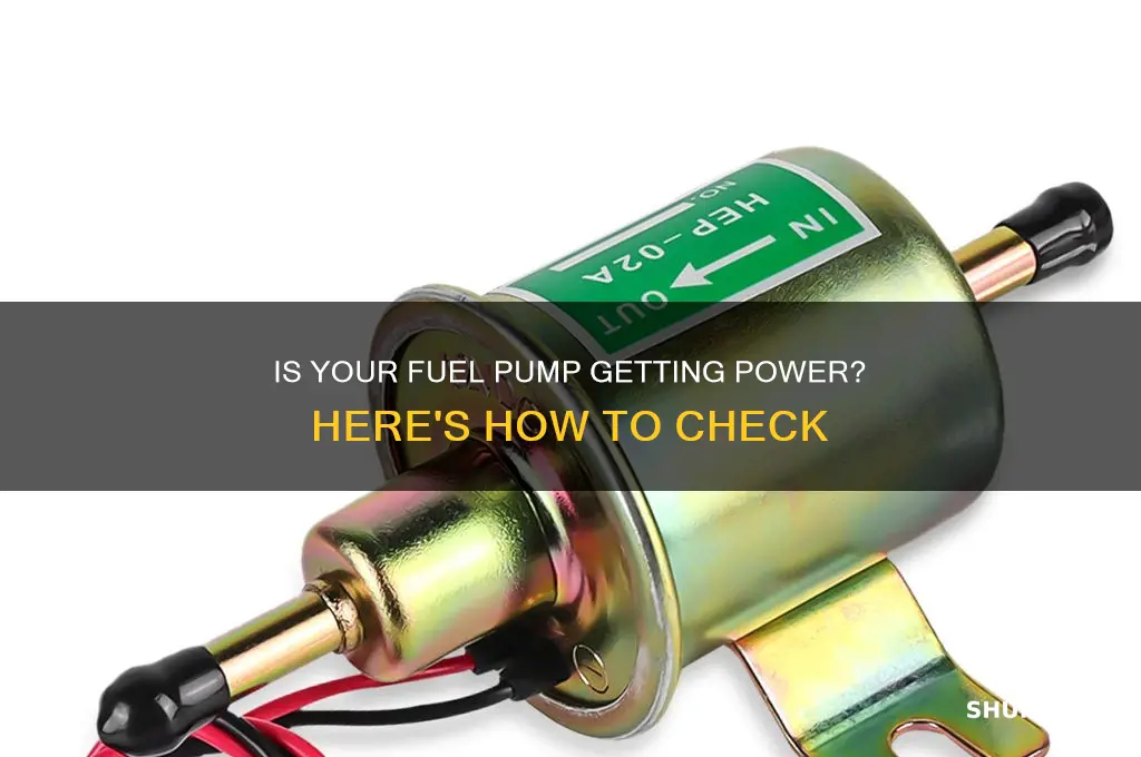 how to tell if your fuel pump is getting electricits