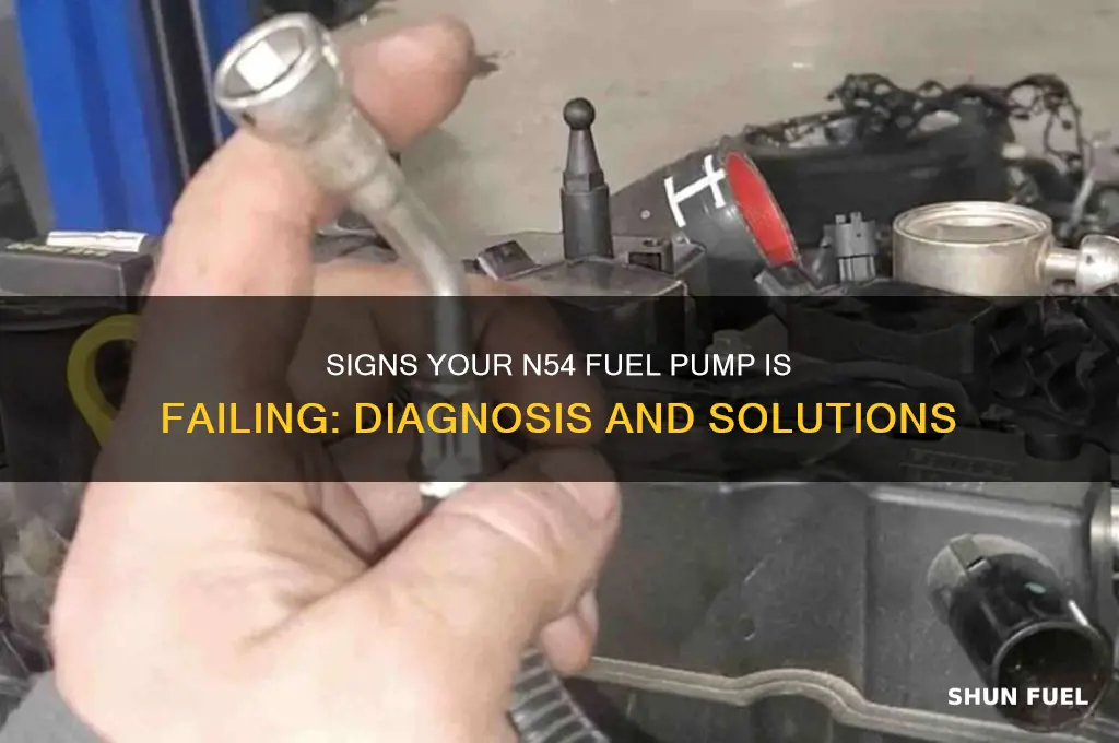 how to tell when n54 fuel pump is bad