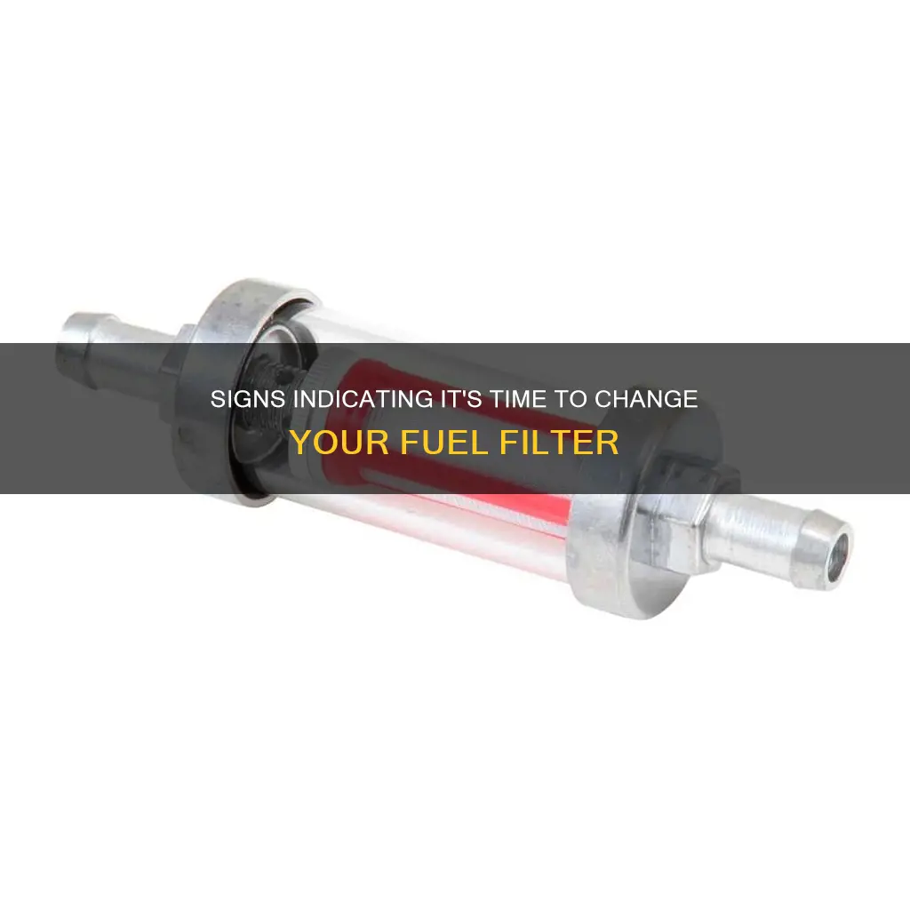 how to tell when to change fuel filter