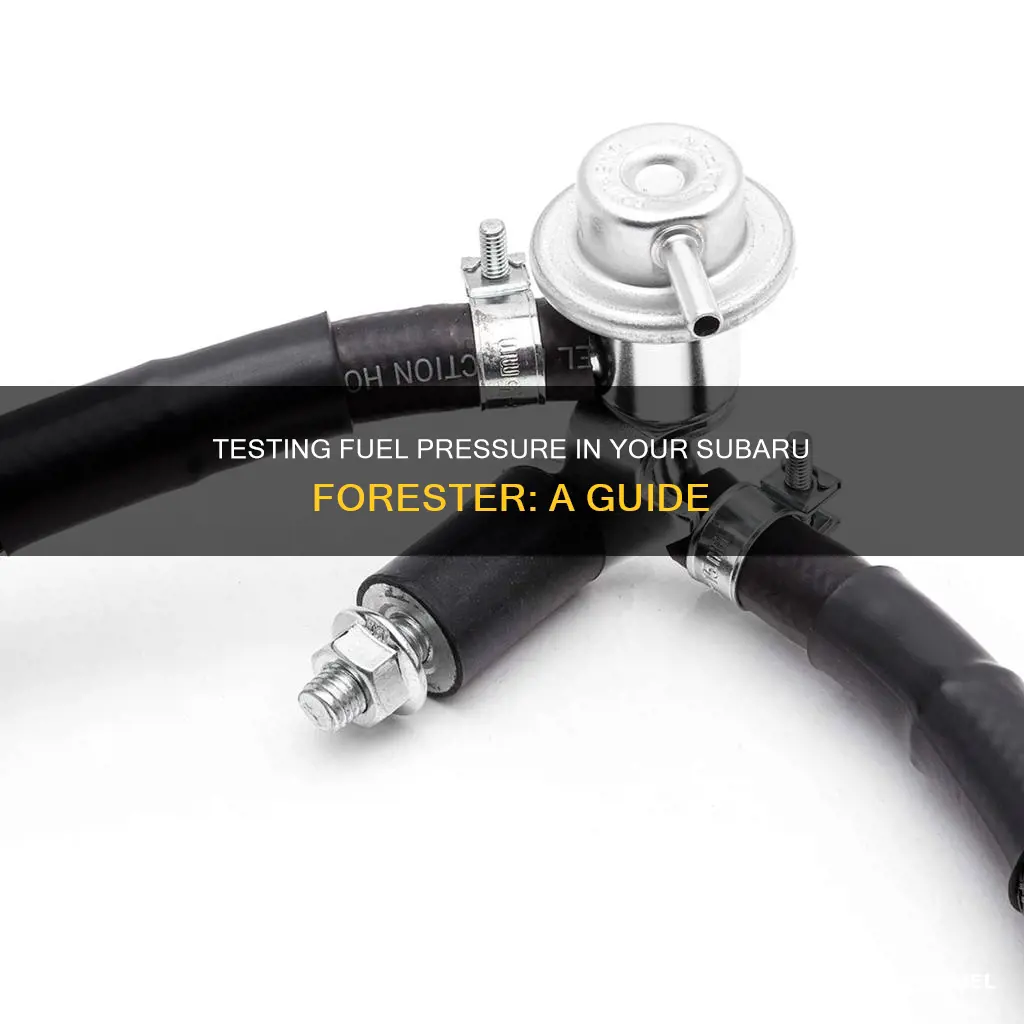 how to tesr subaru forester fuel pressure