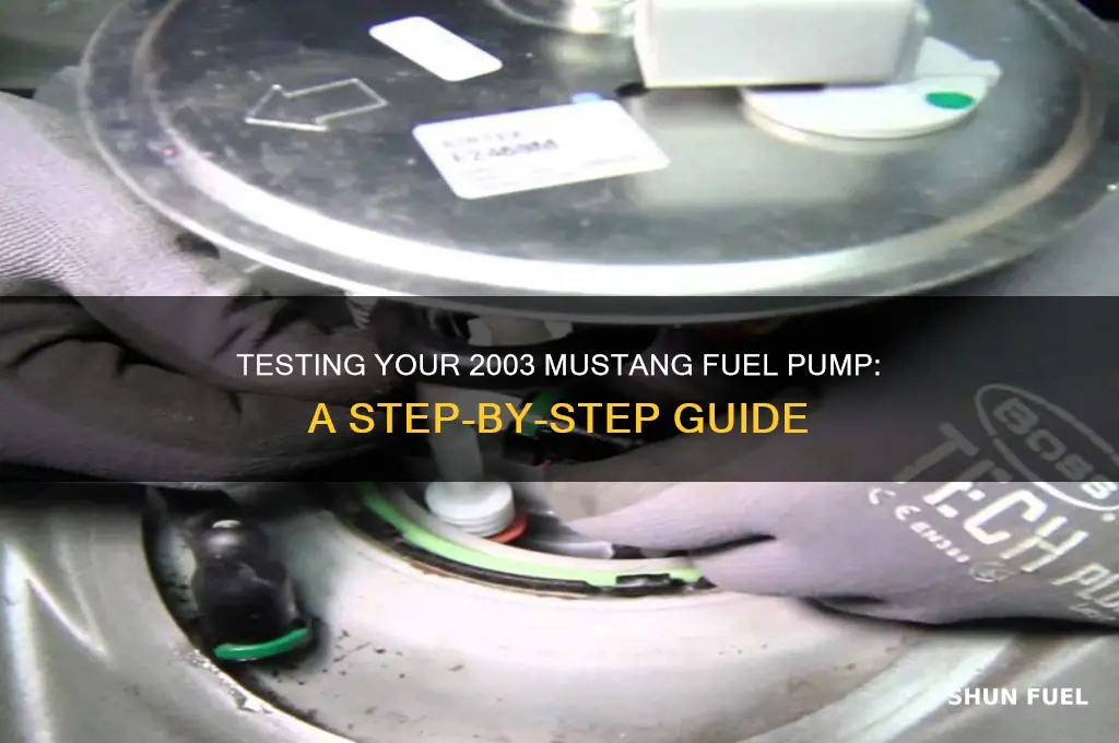 how to test 2003 mustang fuel pump