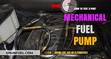 Testing a 3-Port Mechanical Fuel Pump: A Step-by-Step Guide