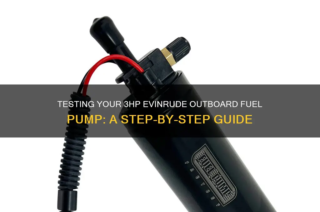 how to test 3hp evinrude outboard fuel pump