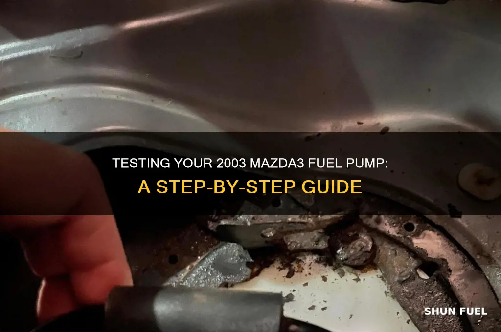 how to test a 03 mazda3 fuel pump